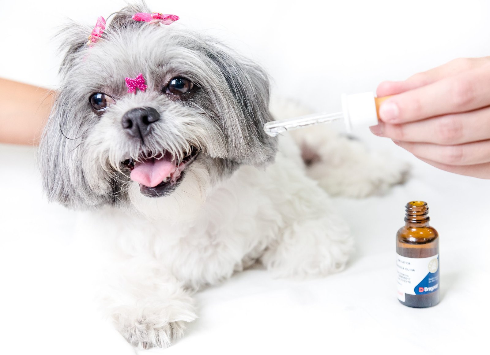 Foto: Priscilla Fiedler