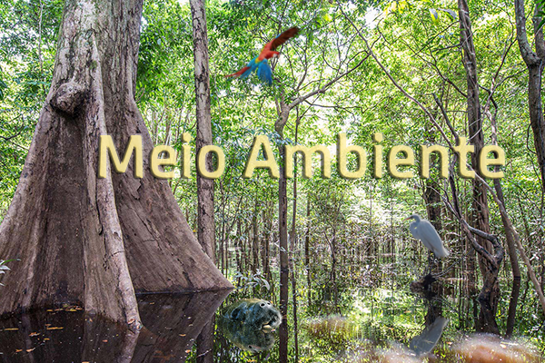 MPF celebra acordo com prefeitura de Governador Celso Ramos e encerra ação judicial