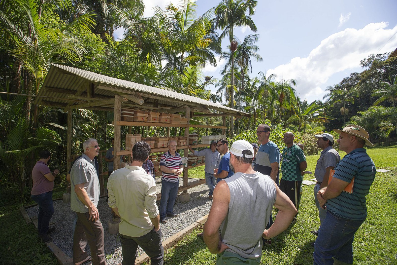 Tecpar, Cedes e Prefeitura de Morretes estimulam produção de mel no Litoral