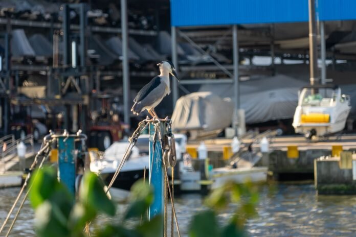 Foto - Clarissa Herrig (6)