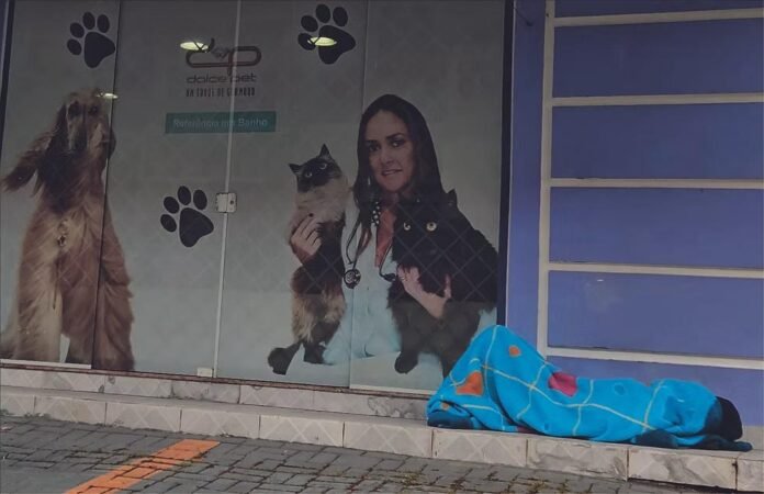 37cd3ca8-b317-4023-9681-bc6cc5b85bff