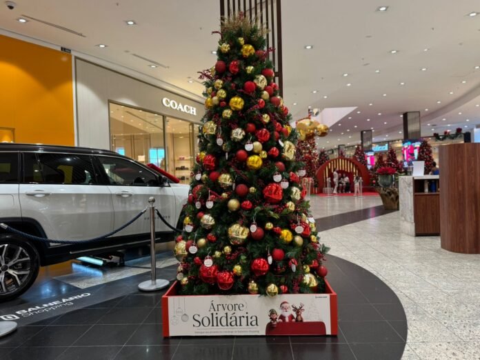 WhatsApp Image 2025-11-10 at 17.43.58 (1)