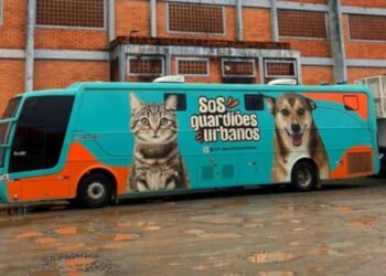 Camboriú abre inscrições para mutirão gratuito de castração com mais de 240 vagas