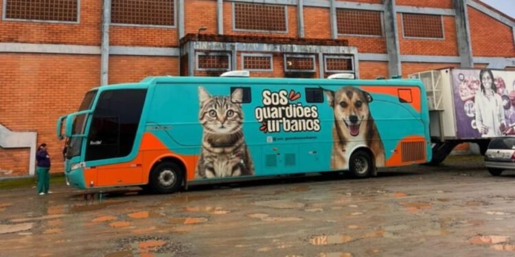 Camboriú abre inscrições para mutirão gratuito de castração com mais de 240 vagas